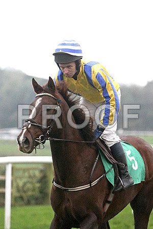 Bee Cee Brown , 10th, Jockey Mr N McParlan - FT8E5535-e