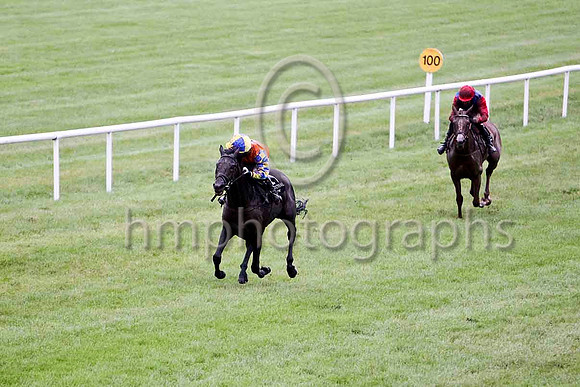 Mister Nibbles & Mr S Crawford - winner (21, orange, royal blue star) -  FT8E5476-e
