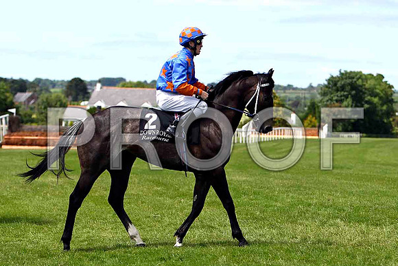Mr Man in the Moon , Jockey P B Beggy - Winner - CU2D0184-e