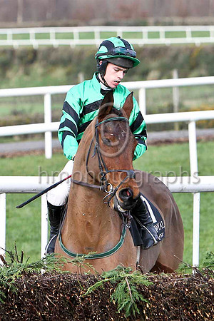 Ameretto Son & I J McCarthy - PU - FT8E9104-e