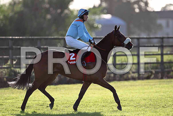 Backstage 5th, Jockey P Carberry - FT8E1058-e