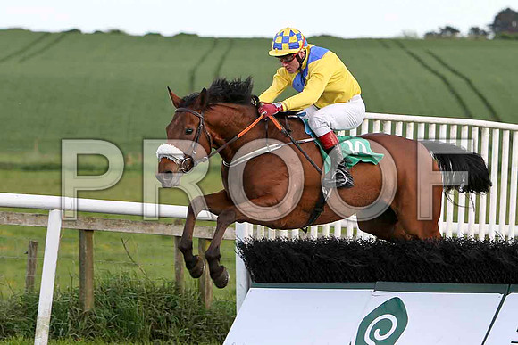 Ella Mia, 10th, Jockey J L Cullen - FT8E3059-e2