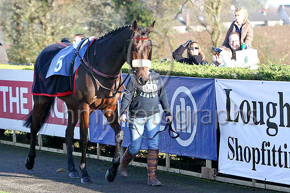 Imperial Shabra , 5th - Jockey J L Cullen - FT8E7026-e
