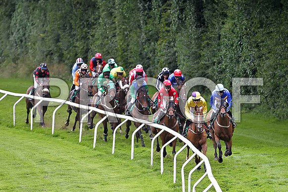 Banellie in the lead, finished 4th, Jockey M M O'Connor - FT8E1656-e