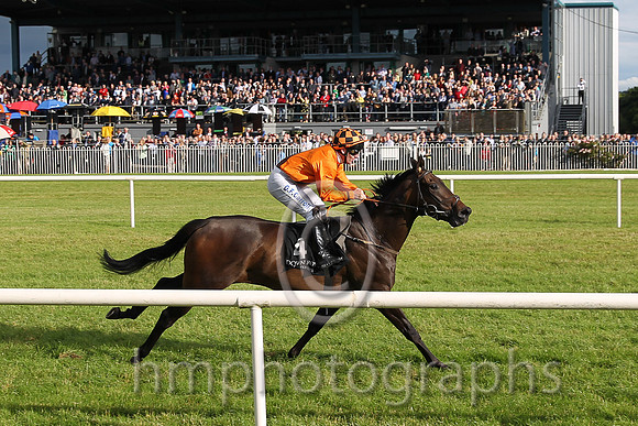 1st No 4 Peace Mission (IRE) (1) - Jockey: G F Carroll - Trainer: T Mullins - Colours: orange, brown sash