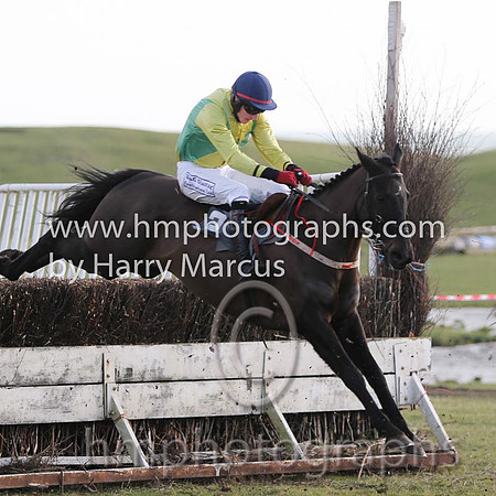 01 Mr Bolt  D H Lavery - Trainer : Sean McParlan, Black and tan check