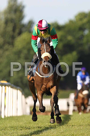 Takendo 10th, Jockey P Townend - FT8E1045-e