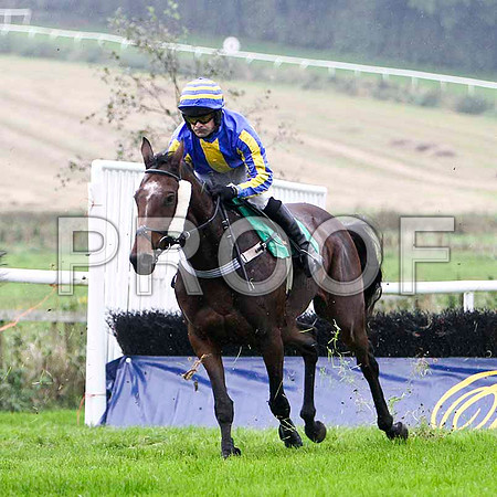 Farfields , 5th - Jockey Mr S  Crawford - FT8E5279-e