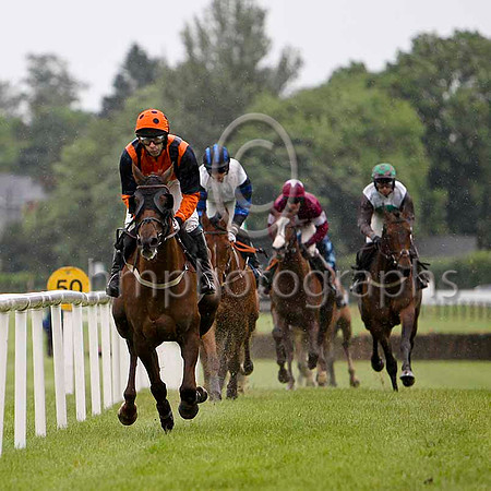 Whatuthink & T J Doyle - winner (12, orange, dark blue braces) - FT8E5215-e