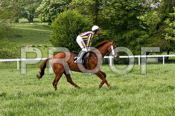 Race 6 Div 1 - Tanzad (28) 4th, Rider B O'Neill - IMG_0348-e