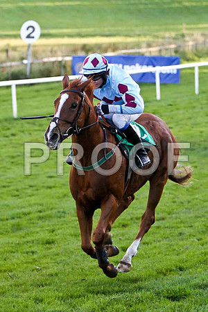 Adrioneo , Jockey Ben G Crawford - PU - CU2D9446-e