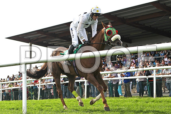 Casadei crosses the line in 5th place, JOckey Andrew J McNamara - FT8E3082-e2