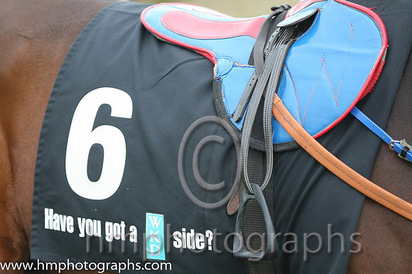 03 Orgilgo Bay and D N Russell - - 03rd (6 ,white and black diamonds ) Trainer - J c McConnell