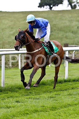 Clifton Four 12th, Jockey Mr D Macauley- CU2D0794-e