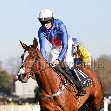 Mac Tigue , 8th - Jockey R Walsh - FT8E6443-e