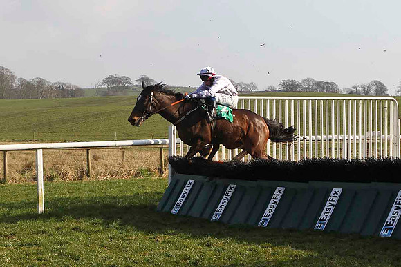 Miss Franklin - 4th, Jockey A P Cawley - CU2D3685-e