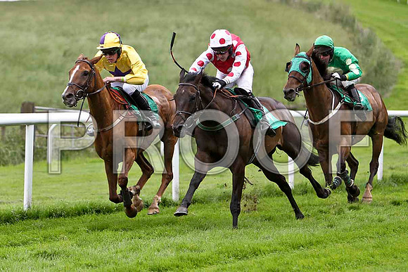 Banellie 4th, Jockey M M O'Connor , Breeze with ease 3rd, Jockey E J O'Connell , Ashlawn 6th, Jockey A E Lynch - CU2D0787-e