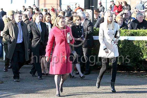 Entering the parade ring - FT8E6957-e