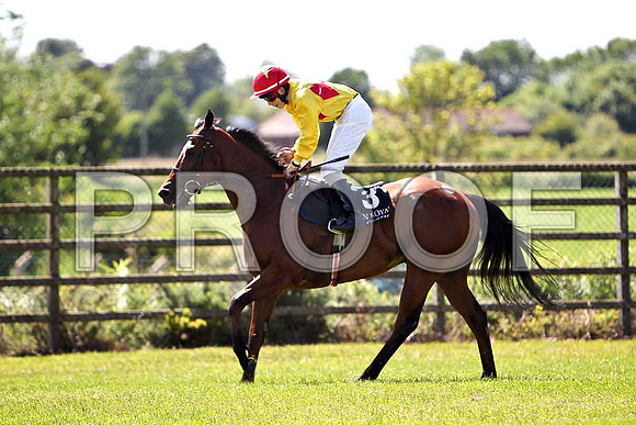 First in Command 3rd, Jockey R P Whelan - CU2D0211-e