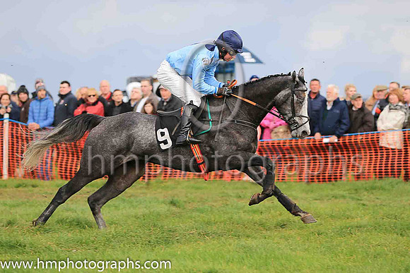01st RAMORE WILL and N McParlan ( 9 , LIGHT BLUE,navy large spots; light blue sleeves; navy cap ) Trainer: I. R. Ferguson,, Owner : William Porter
