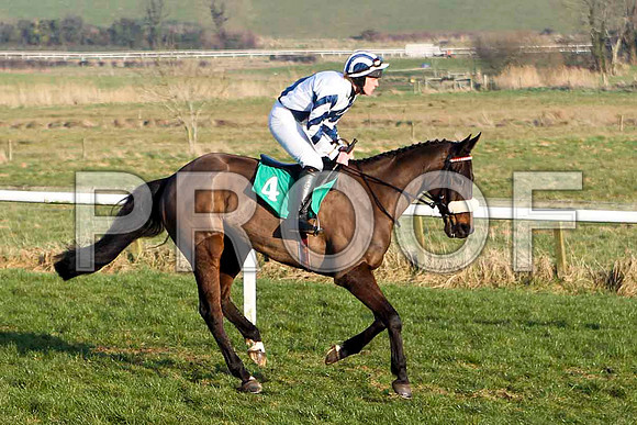Bold Ali - Fell, Jockey Mr T Reilly -  - CU2D3739-e