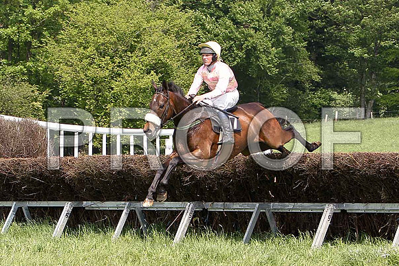 First Race - Spice Hill (17) Winner - CU2D9516-e