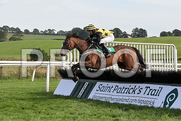 Rossgavand 12th, Jockey T C  Carroll- FT8E3123-e