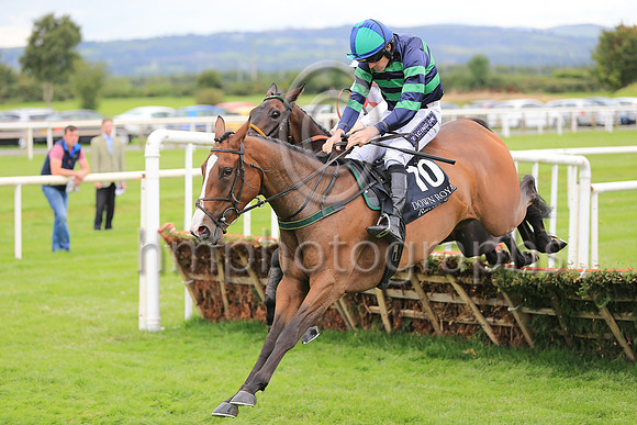 1st Minnie Dahill and R Walsh ( 10 , dark blue and emerald green hoops ) Trainer - T M Walsh , Owner - Micheal D Ryan