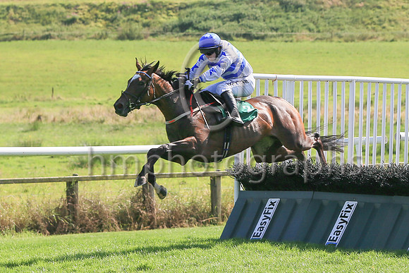 Ask The Leader ridden by Darragh O'Keeffe jump the last to win the Kingdom Healthcare Handicap Hurdle at Downpatrick Racecourse Ladies Day Meetin on Monday. Ask The Leader is trained by David Christie