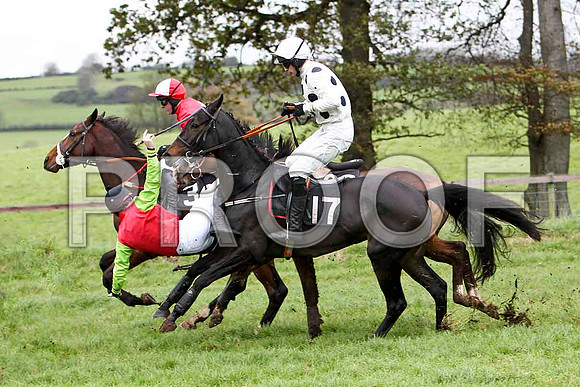 P N O'Brien Jockey of Boston Lord tumbling to the ground - FT8E5651-e2
