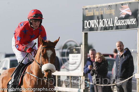 09 Canova and John Winston - - 09th (8 ,red, royal blue stars ) Trainer - G Elliott