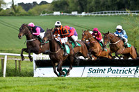 Rosepeg , PU , Jockey S W Jackson lands first - FT8E3034-e2
