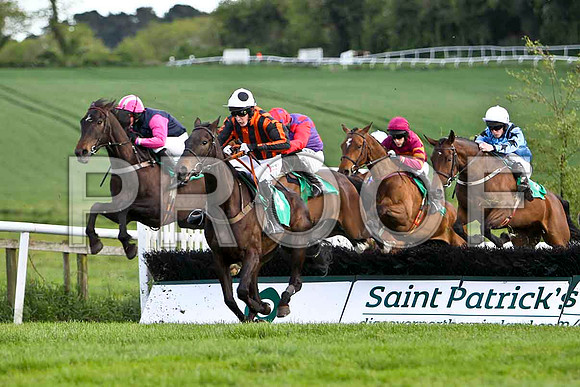 Rosepeg , PU , Jockey S W Jackson lands first - FT8E3034-e2
