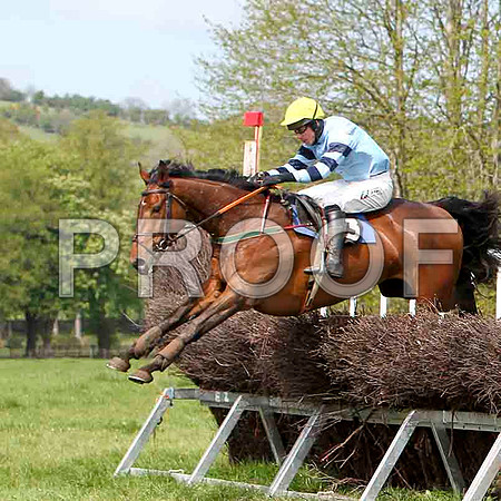 Bear Witness , Winner, Jockey - Derek O'Connor - FT8E2062-e4