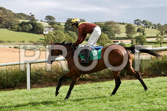 Lake Return - 2nd, Jockey D J Bates  - IMG_9426-e