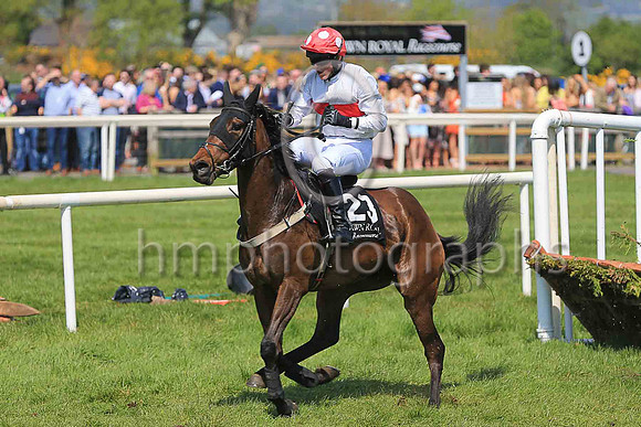17th Boals Corner and Reserve 3 ( 23 , white, red hoop ) Trainer - S F Magee , Owner - Stephen Francis Magee