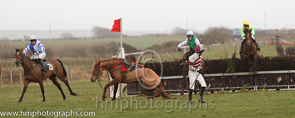 02 Lady Wilton Milan & B O'Neill - 2nd (2, royal blue and white halvd ) & 08 South Circle & Ms R Blackmore - Fell (5, grey, maroon chevrons) - FT8E3225-65