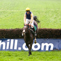 Minor Power , 10th - Jockey R C Colgan - FT8E5382-e