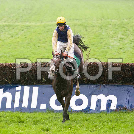 Minor Power , 10th - Jockey R C Colgan - FT8E5382-e