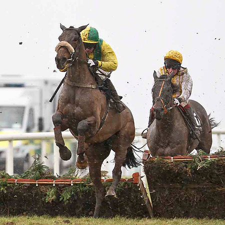 Corrick Bridge 14th, Jockey A P Heskin & Baby Be Mine 15th , Jockey P F Mangan - CU2D3239-e