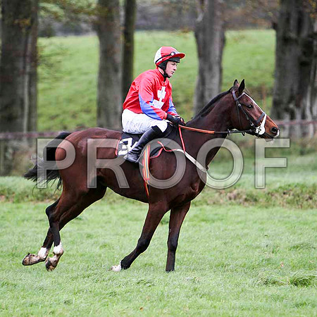 Rebels Gold , PU  - Jockey  G B Watters - FT8E5623-e