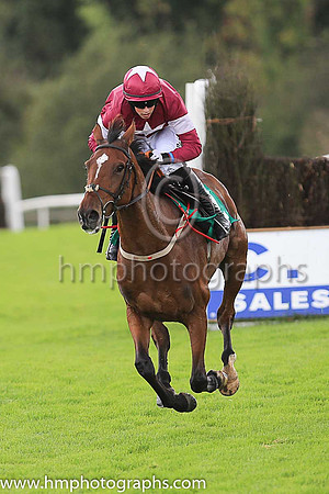 01st Marinero and B J Cooper ( 2 , maroon, white star ) Trainer - H de Bromhead , Owner - Gigginstown House Stud