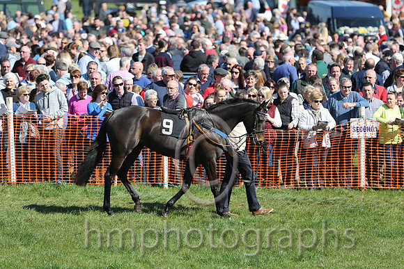 Large crowds at East Antrim Pounds P2P at Loughanmore on Easter Monday 2015