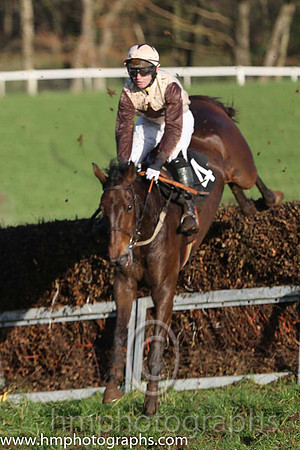 04 Finner Camp and N M Kelly - - 04th (4 ,beige, brown star ) Trainer - Liam Joseph Clancy