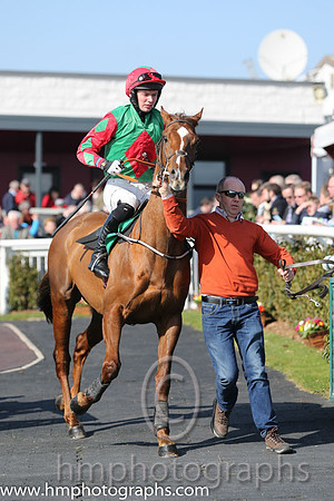 09th PU - Baby Boss (03)  D R Fox (3) < Trainer : N C Kelly  green, red diamond