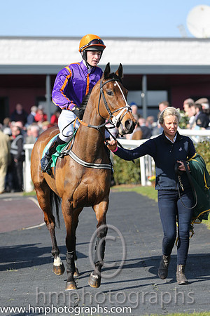 07th - Little Sparrow (10)  D J Mullins (5) < Trainer : J A Nash  purple, yellow seams