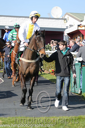 02nd - News For Pascal (06)  C D Maxwell (3) < Trainer : Stephen Magee  white, yellow panel
