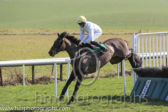 02nd - News For Pascal (06)  C D Maxwell (3) < Trainer : Stephen Magee  white, yellow panel