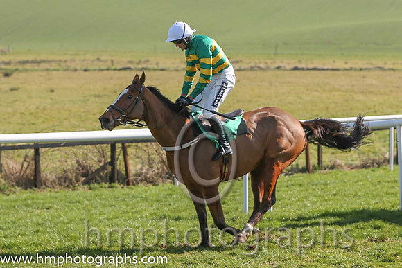 01st - Salsa Sensation (07)  R Walsh < Trainer : T M Walsh  orange and green hoops