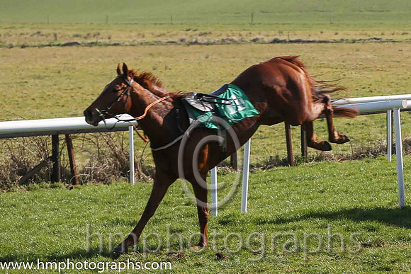 10th U - Mystic Princess (11)  M P Butler < Trainer : M M McNiff  green and white hoops
